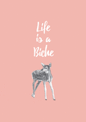 Life is a Biche : l'humour en for&ecirc;t
